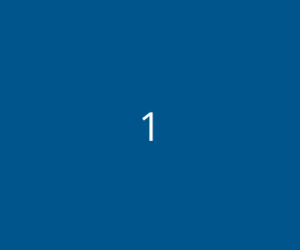 1 1