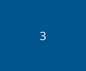 3 3